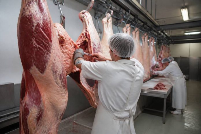 Abattoir boucherie : fonctionnement, normes et bonnes pratiques