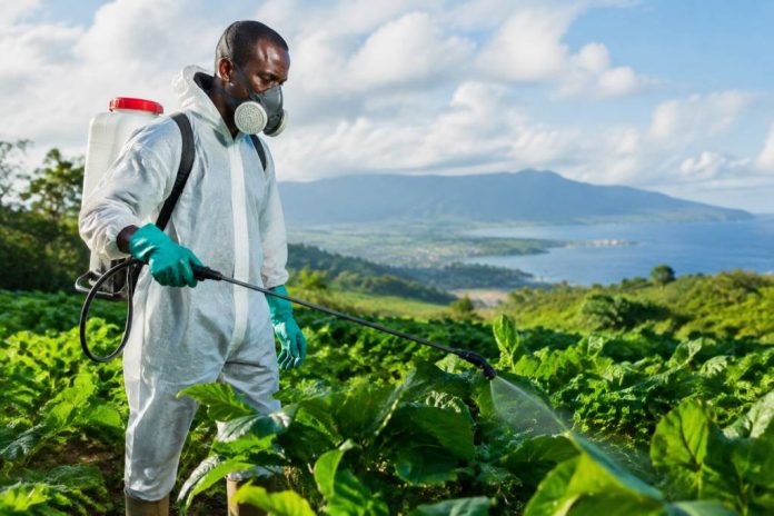 Chlordécone def : comprendre le pesticide, ses risques et les zones concernées